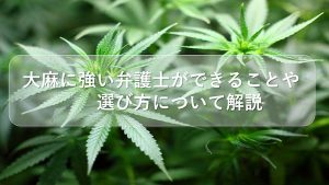 大麻に強い弁護士が徹底解説!事件の流れ・活動事例を詳しく紹介