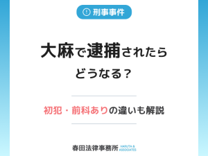大麻で逮捕されたらどうなる？初犯・前科ありの違いや刑を軽くする方法を弁護士が解説
