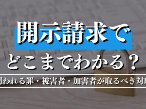 開示請求でどこまでわかる？問われる罪・被害者・加害者が取るべき対応を徹底解説